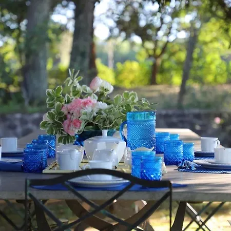 San Quirico Sleeps 8 With Pool And Wifi * San Quirico (Avigliano)
